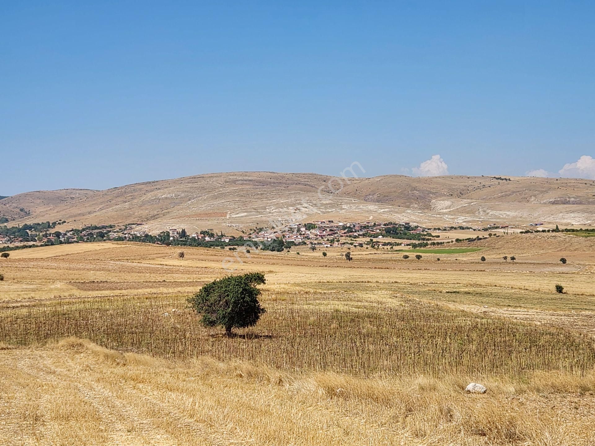 Afyonkarahisar Merkez Kızıldağ Mah. 9200 M2 Tarla 290 Bin Tl - Görsel 13