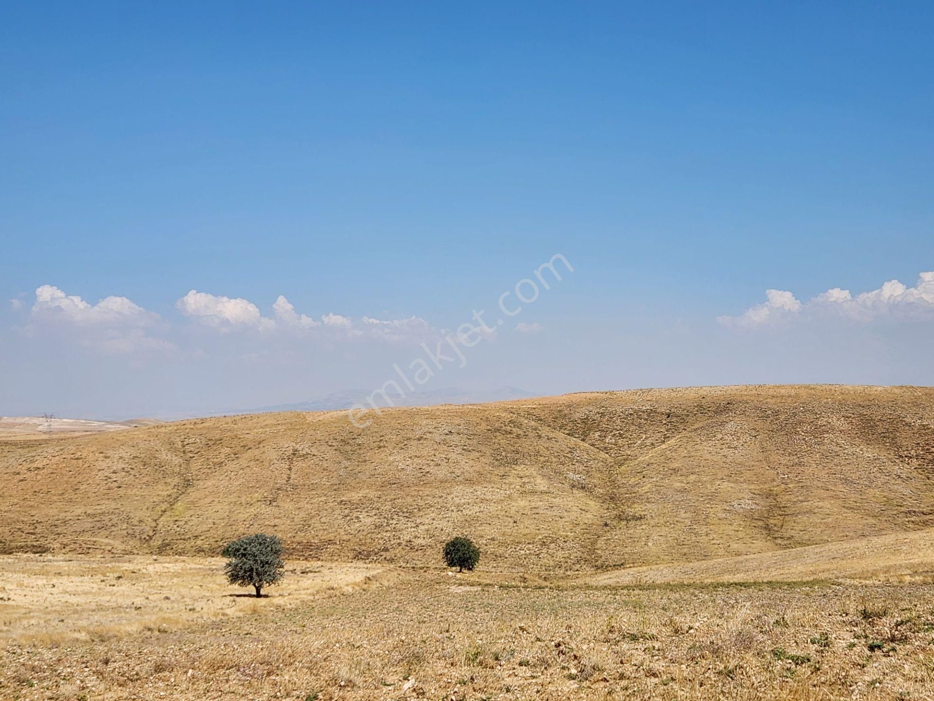 Afyonkarahisar Merkez Kızıldağ Mah. 9200 M2 Tarla 290 Bin Tl - Görsel 3