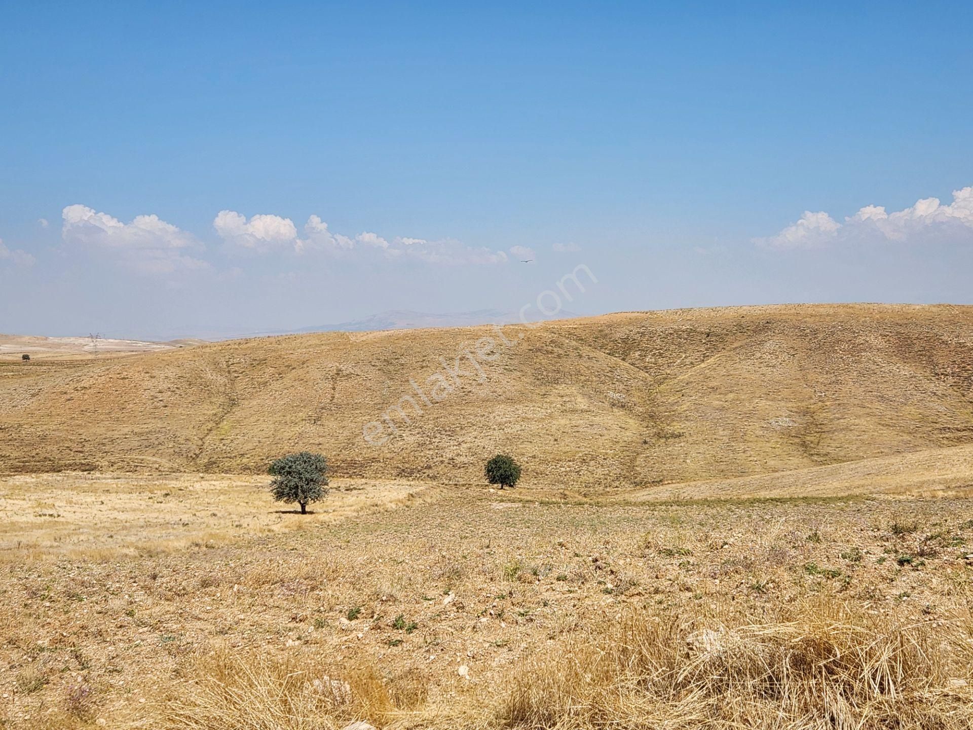 Afyonkarahisar Merkez Kızıldağ Mah. 9200 M2 Tarla 290 Bin Tl - Görsel 11