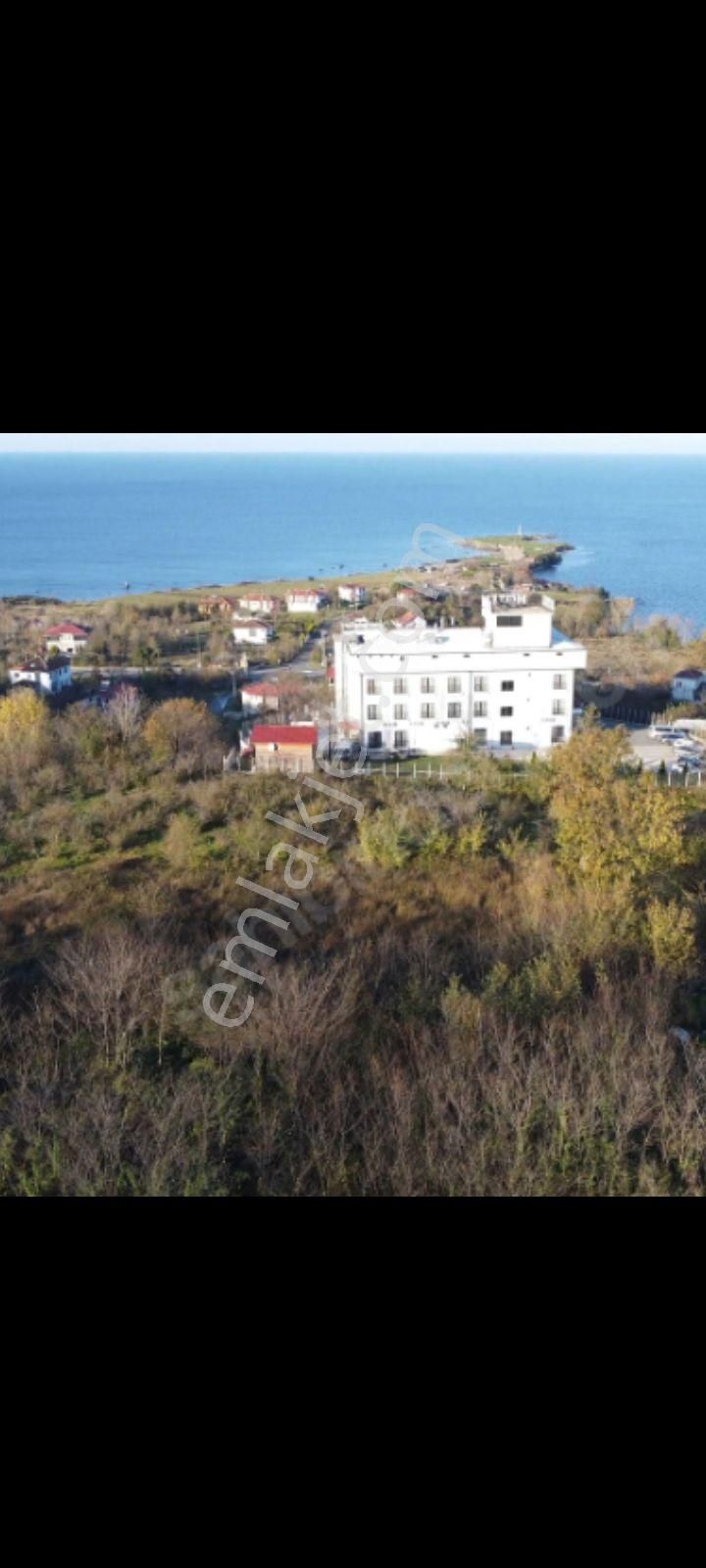 Perşembe Caytepe İmarlı 2800 M2 Bahçe - Görsel 3