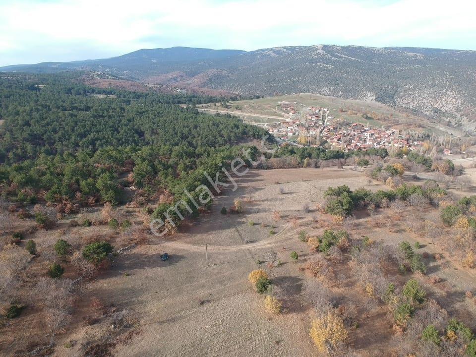 Bilecik Bozüyük Yeniüreğil 3861 M2 Köy Manzaralı Köye 400 Metre - Görsel 7