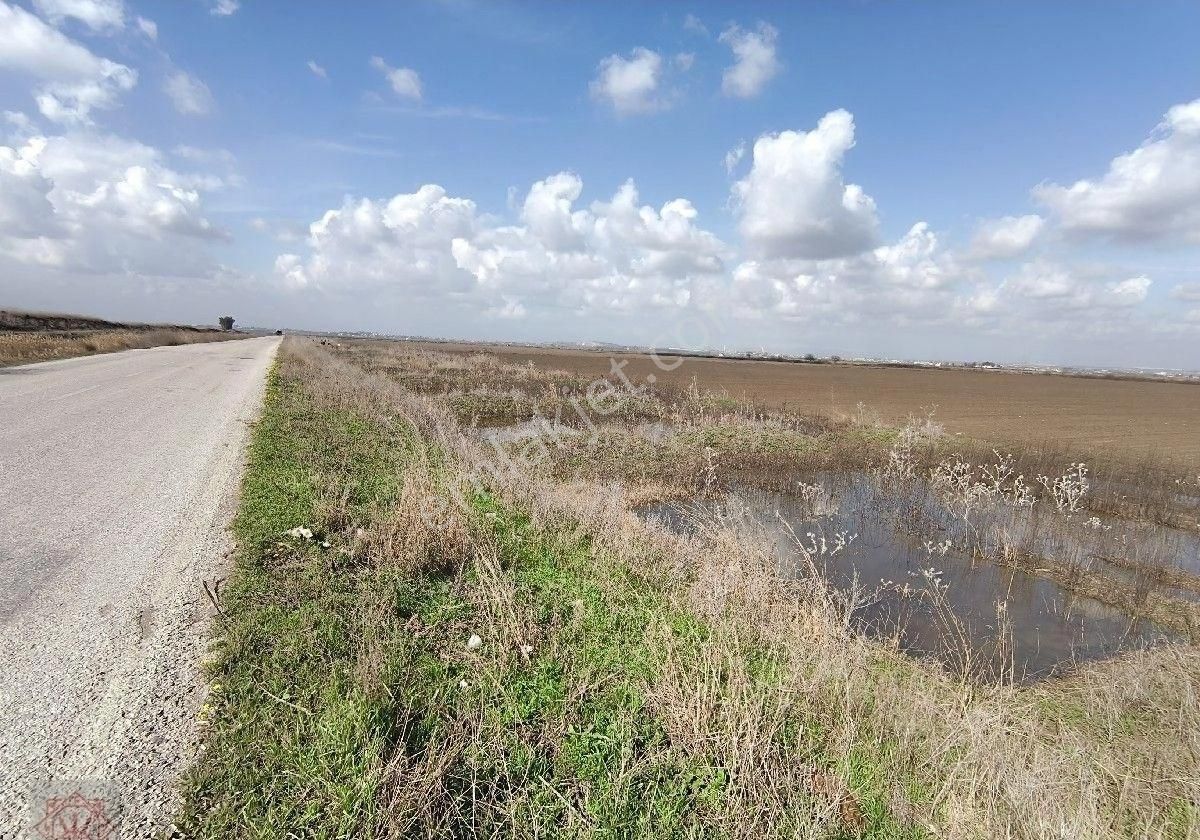 Yüreğir Düzce De 100 Dönüm Satılık Tarla