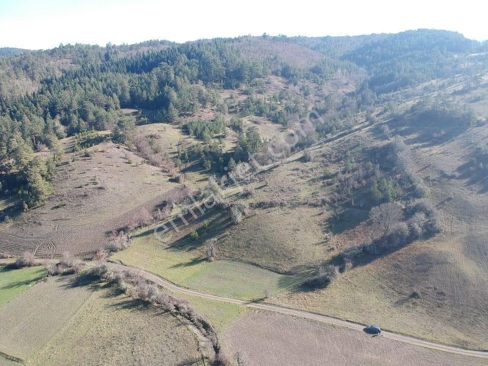 Kastamonu Azdavay Kayaoğlu Mah 5182 M2 Köy Manzalı Tarla 465 Bin Tl - Görsel 3