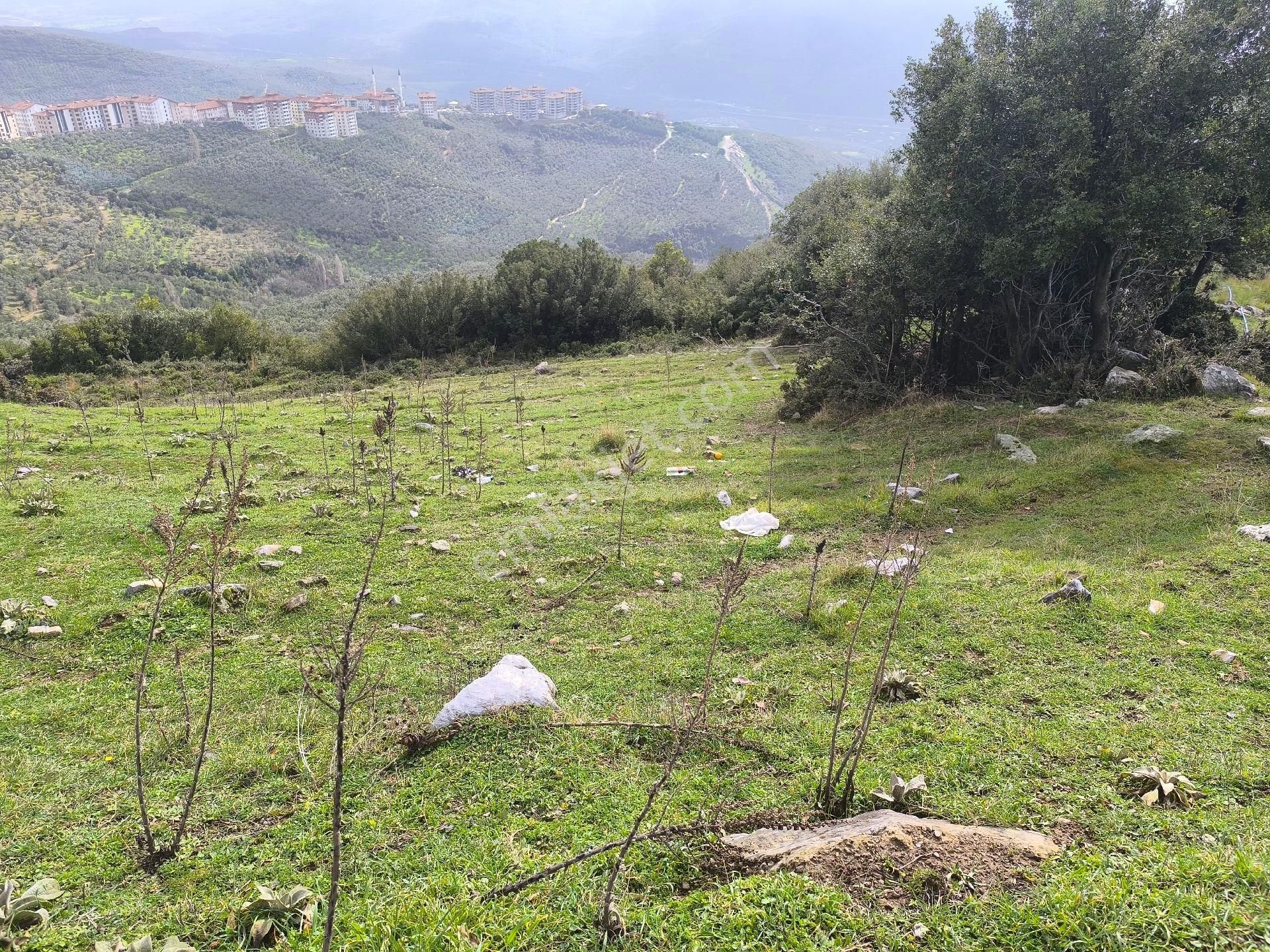 Gemlik Cihatlı'da Toki Ye Yakın Yatırımlık Tarla - Görsel 6