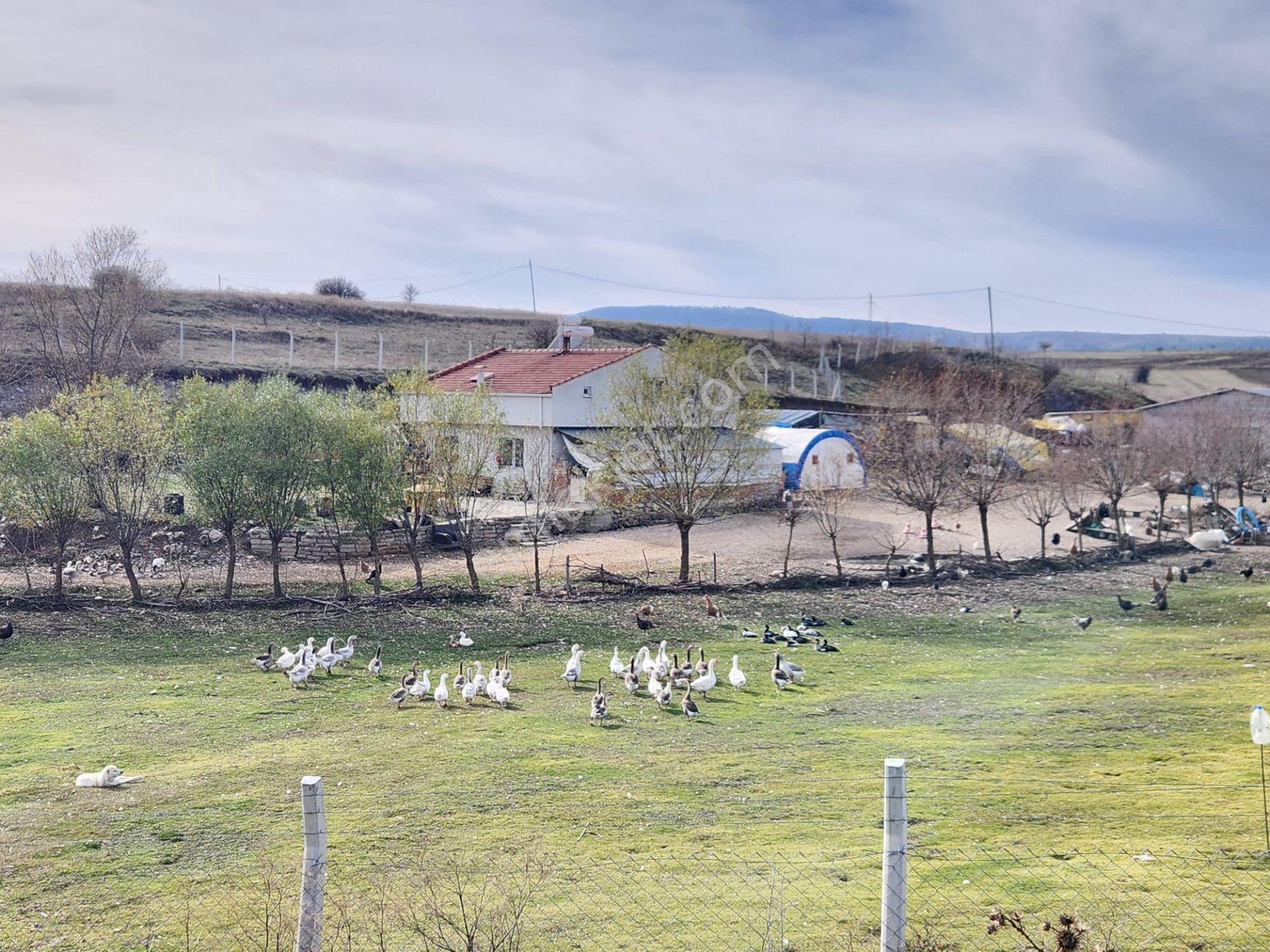 Bozüyük Kütahya Ana Asfat 20 Metre İlçe Merkezi Ve Çitflik Yanı