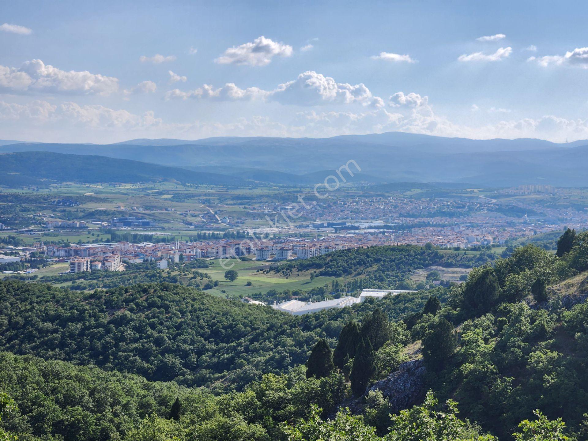 Bilecik Bozüyük Merkez Yanı 2 Km Mesafede 4905 M2 Tek Tapu Tarla - Görsel 29