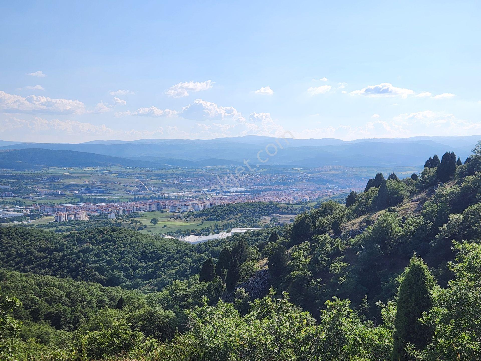 Bilecik Bozüyük Merkez Yanı 2 Km Mesafede 4905 M2 Tek Tapu Tarla - Görsel 17