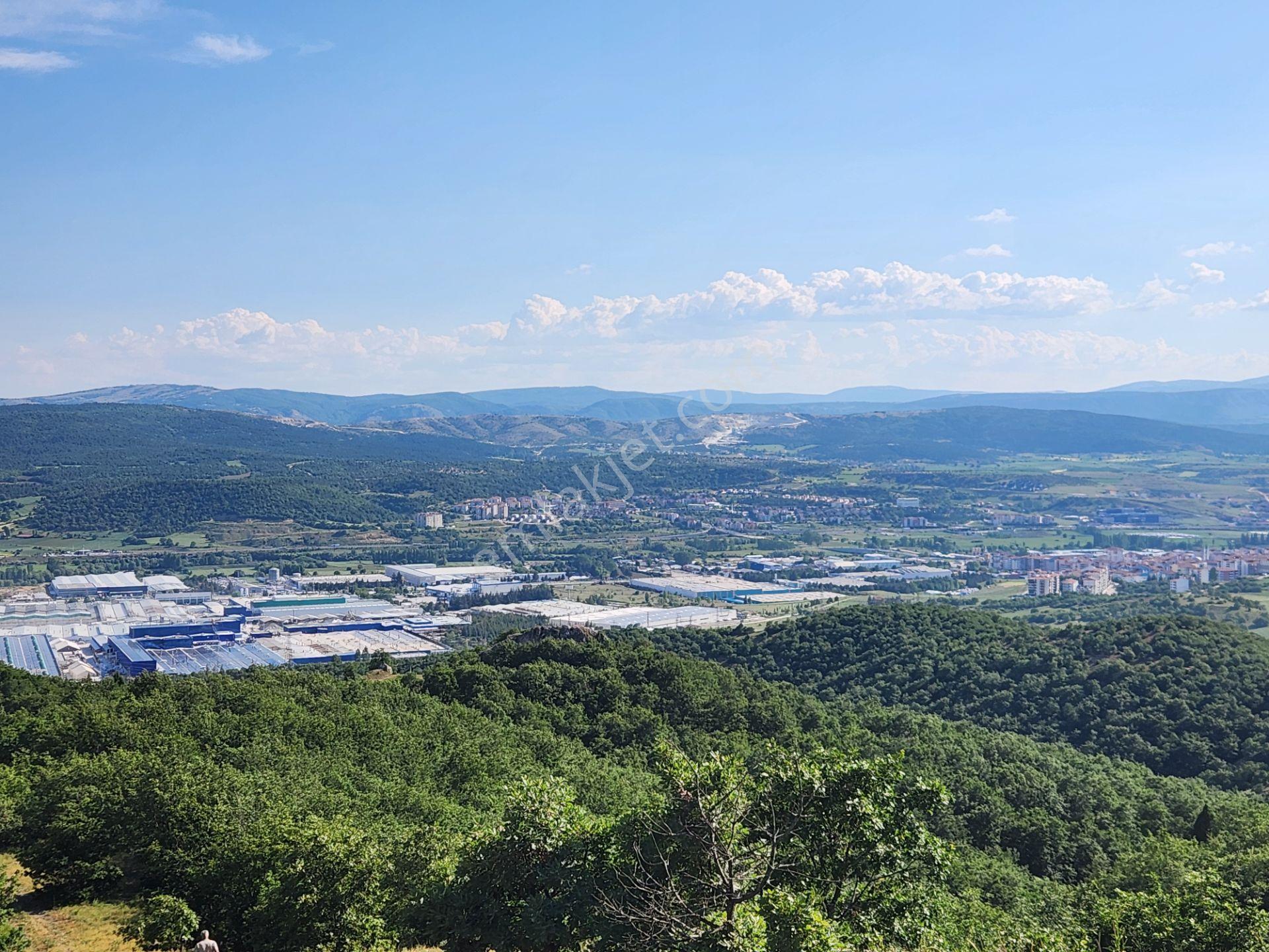 Bilecik Bozüyük Merkez Yanı 2 Km Mesafede 4905 M2 Tek Tapu Tarla - Görsel 14