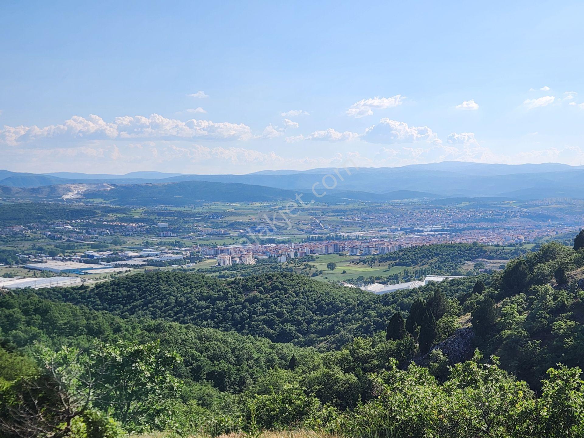 Bilecik Bozüyük Merkez Yanı 2 Km Mesafede 4905 M2 Tek Tapu Tarla - Görsel 16