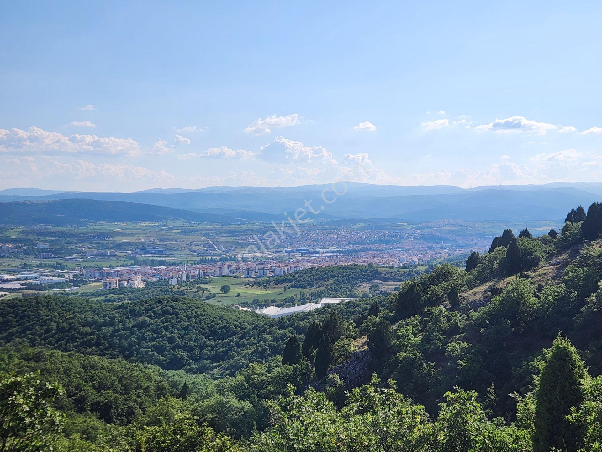 Bilecik Bozüyük Merkez Yanı 2 Km Mesafede 4905 M2 Tek Tapu Tarla - Görsel 6