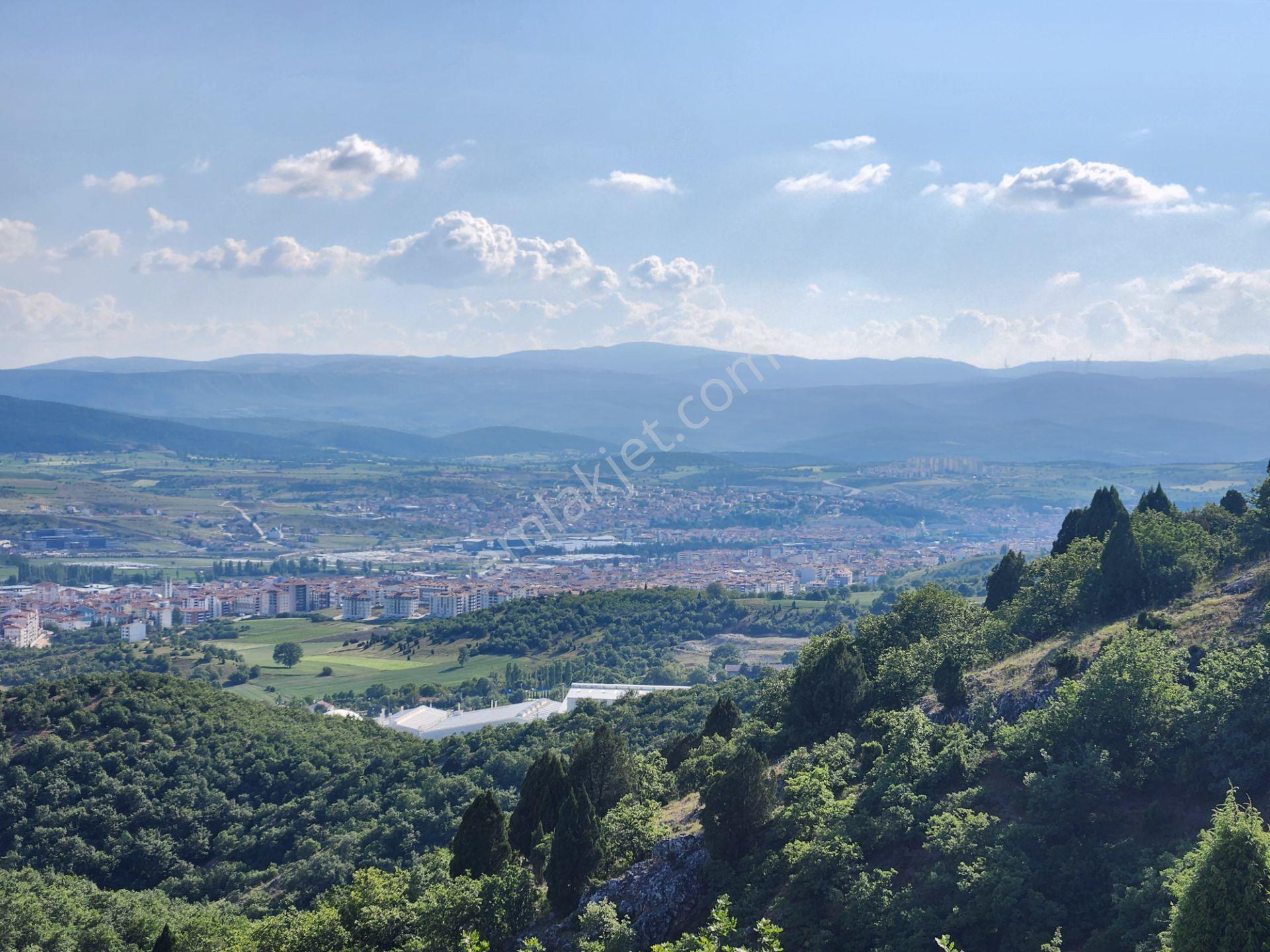 Bilecik Bozüyük Merkez Yanı 2 Km Mesafede 4905 M2 Tek Tapu Tarla - Görsel 9