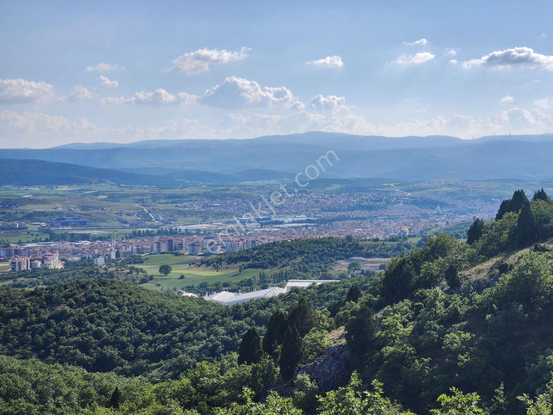 Bilecik Bozüyük Merkez Yanı 2 Km Mesafede 4905 M2 Tek Tapu Tarla - Görsel 25