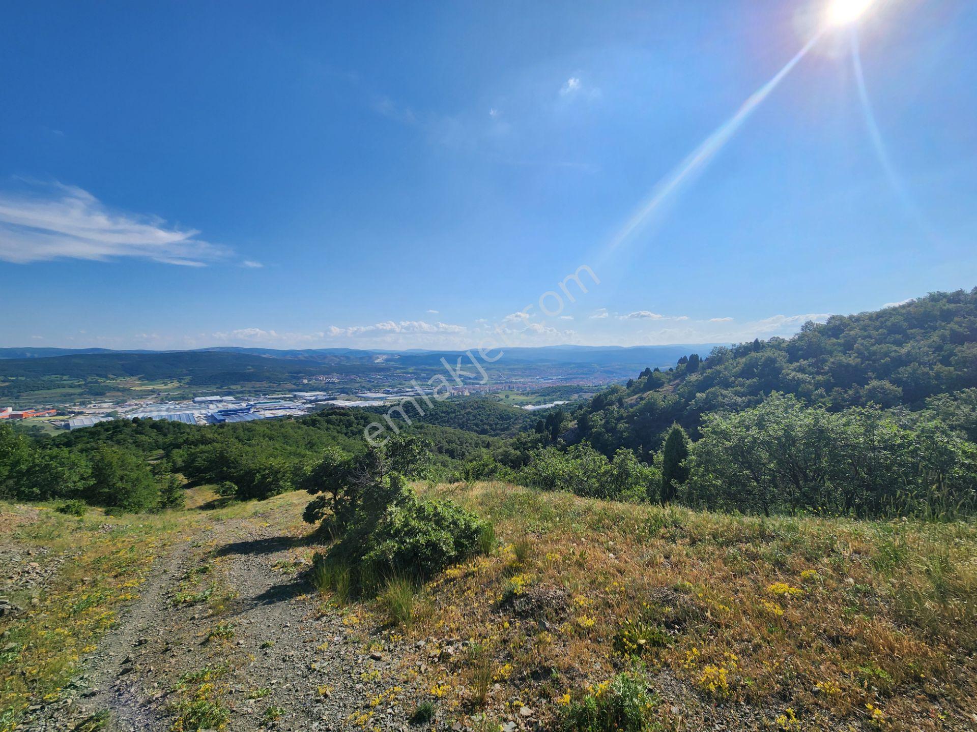 Bilecik Bozüyük Merkez Yanı 2 Km Mesafede 4905 M2 Tek Tapu Tarla - Görsel 26