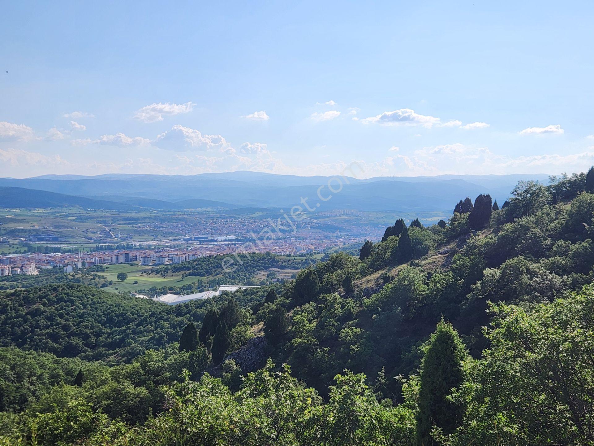Bilecik Bozüyük Merkez Yanı 2 Km Mesafede 4905 M2 Tek Tapu Tarla - Görsel 22
