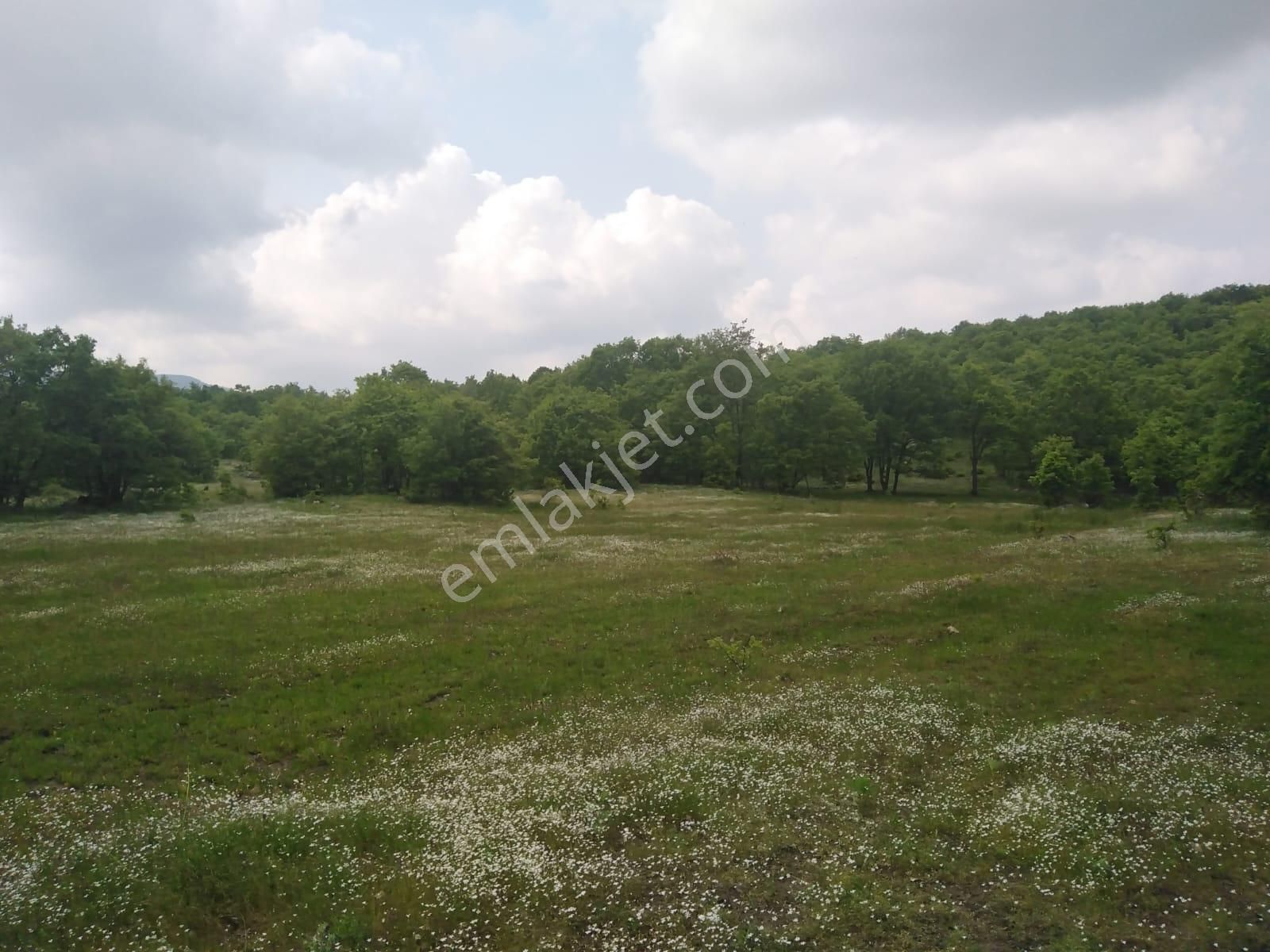 Bursa Orhaneli Gazioluk Mah. 9124 M2 Köye Yakın Yol Su Var - Görsel 25