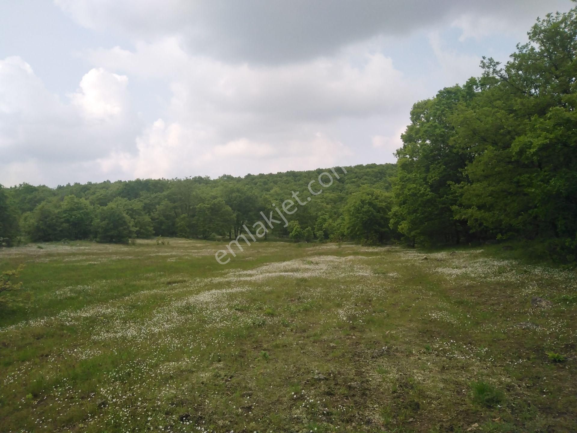 Bursa Orhaneli Gazioluk Mah. 9124 M2 Köye Yakın Yol Su Var - Görsel 9