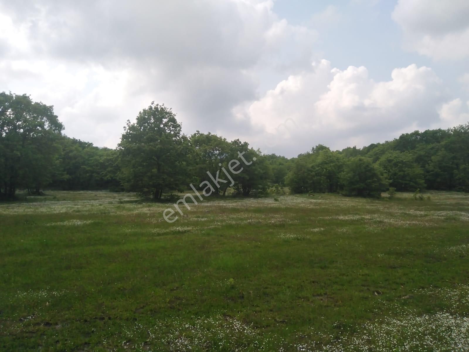 Bursa Orhaneli Gazioluk Mah. 9124 M2 Köye Yakın Yol Su Var - Görsel 21