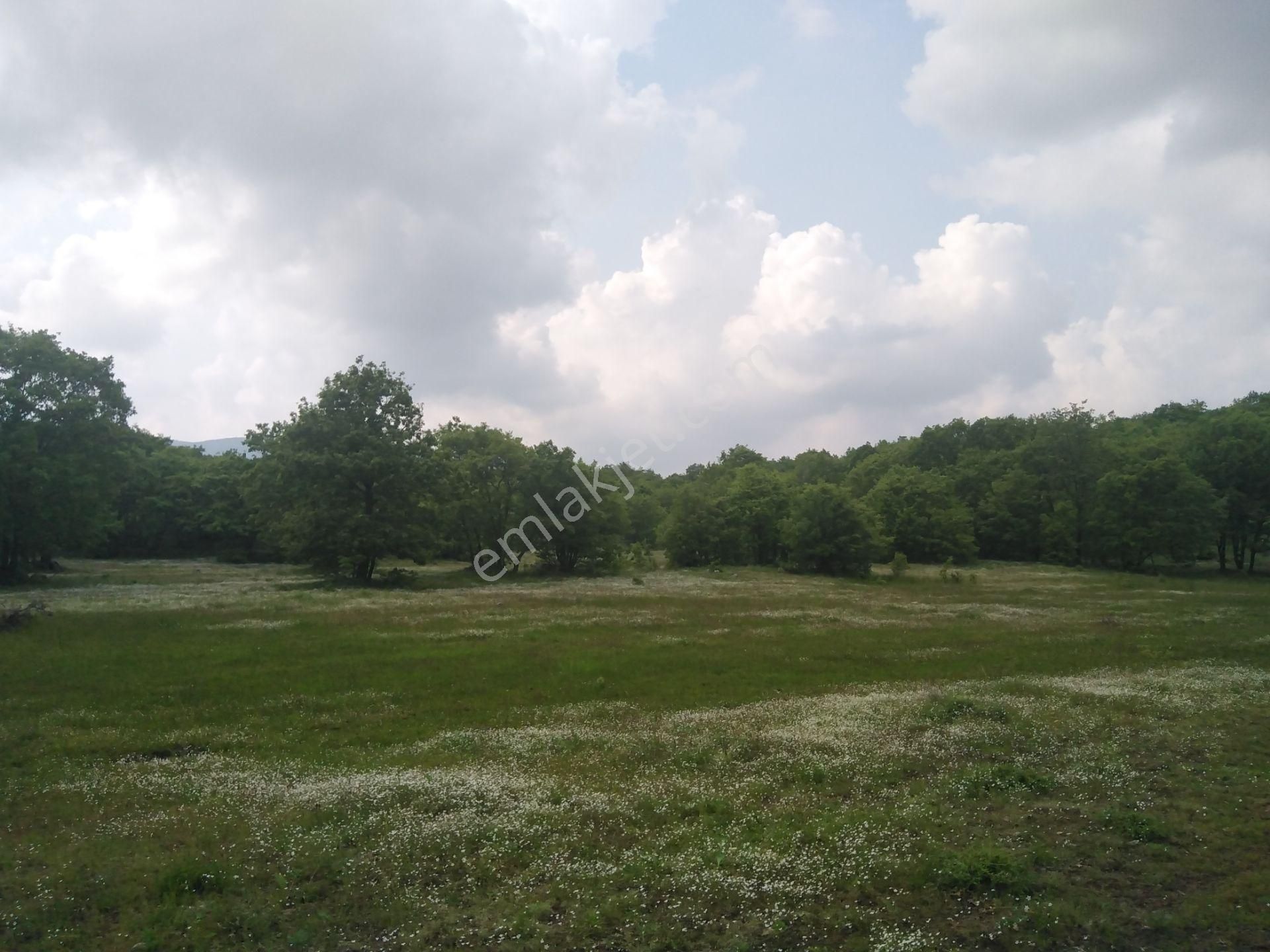 Bursa Orhaneli Gazioluk Mah. 9124 M2 Köye Yakın Yol Su Var - Görsel 7