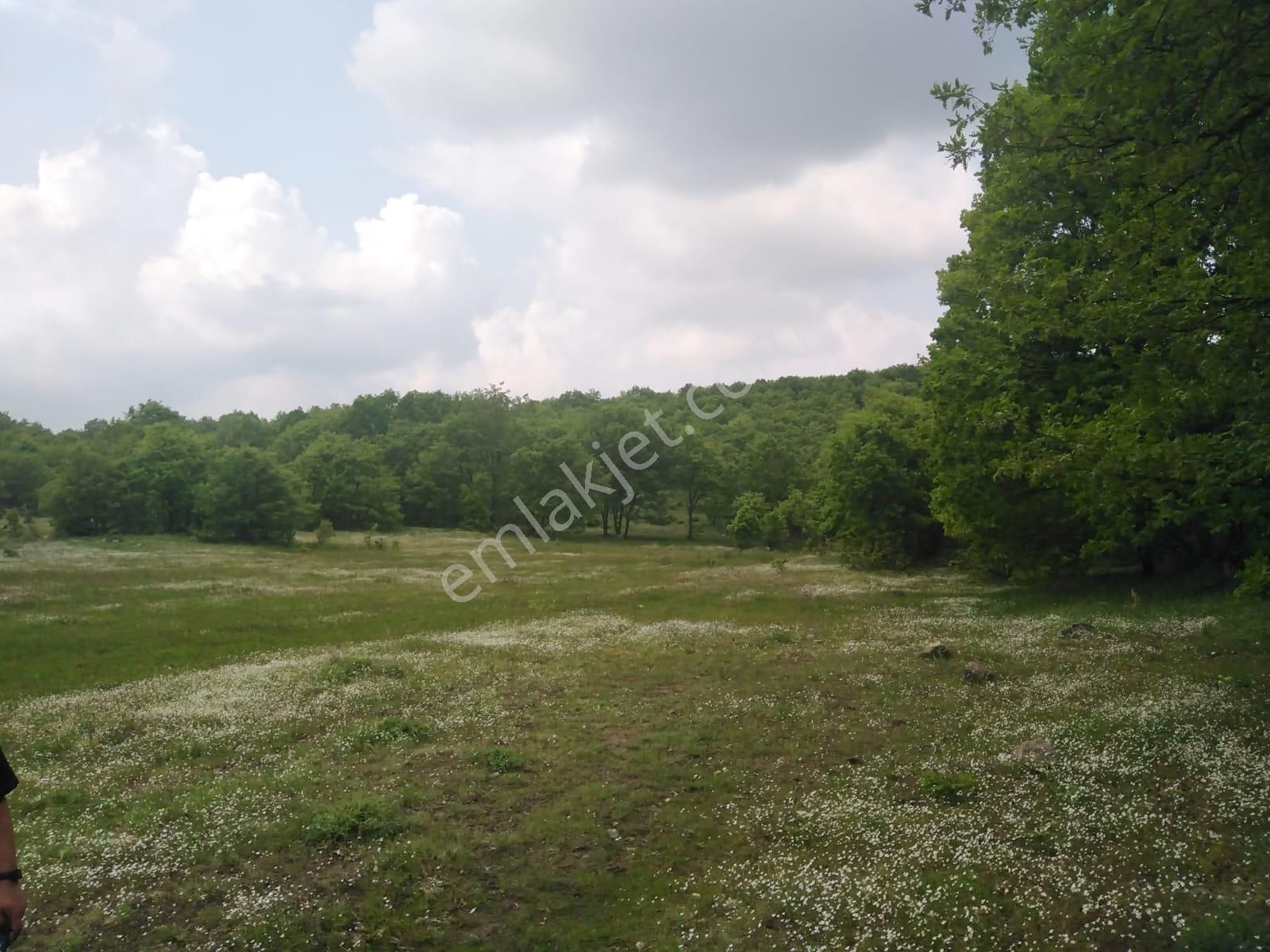 Bursa Orhaneli Gazioluk Mah. 9124 M2 Köye Yakın Yol Su Var - Görsel 18