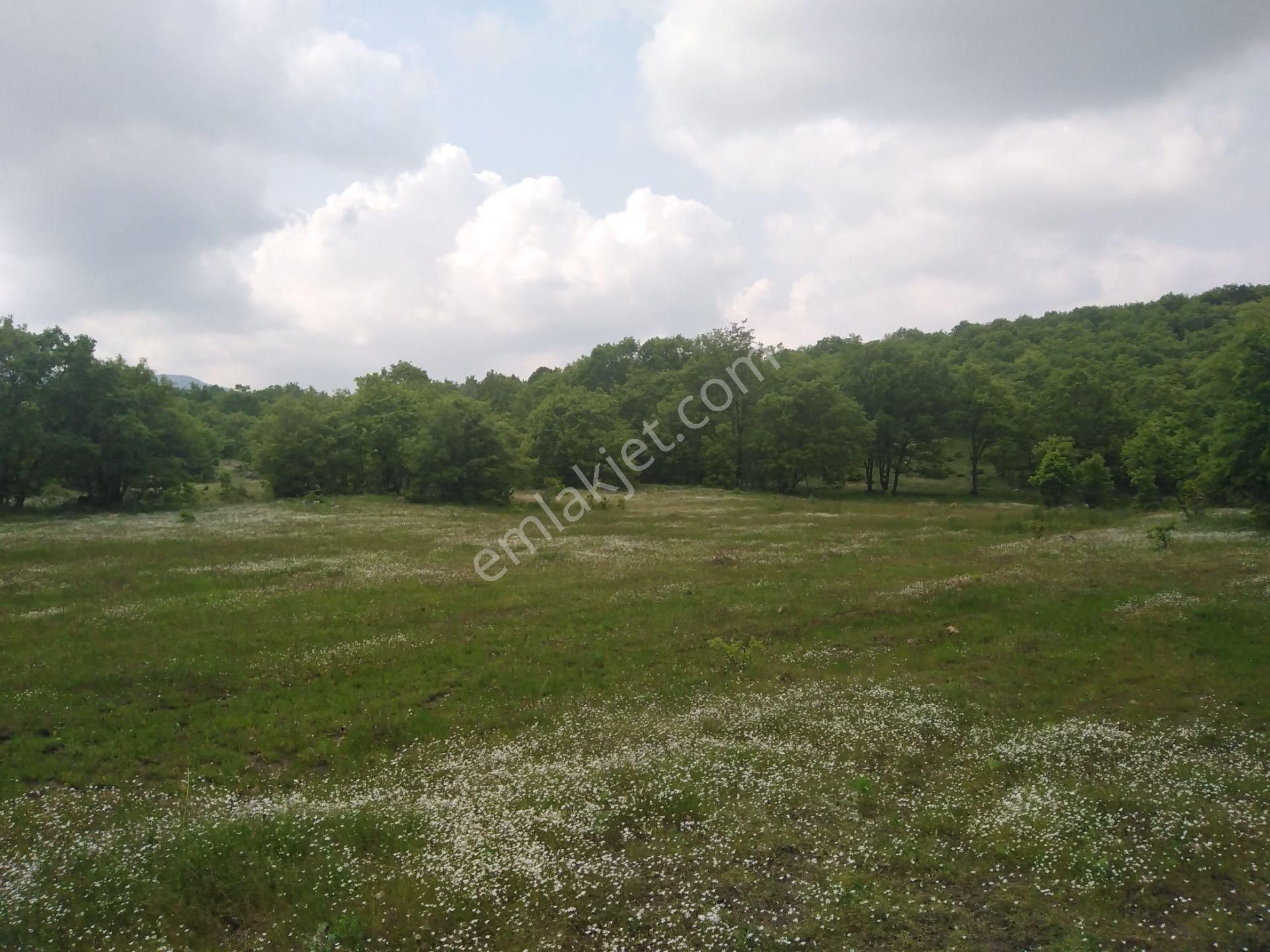 Bursa Orhaneli Gazioluk Mah. 9124 M2 Köye Yakın Yol Su Var - Görsel 14