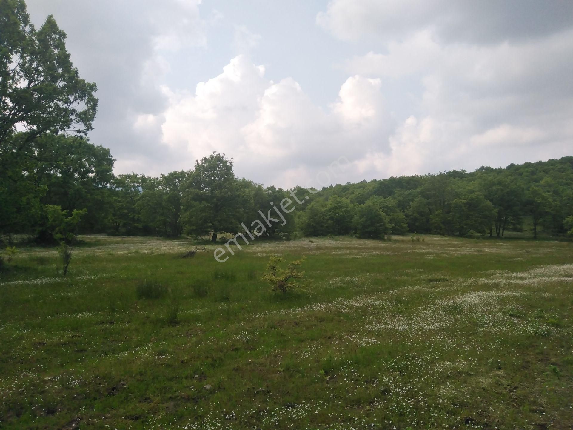 Bursa Orhaneli Gazioluk Mah. 9124 M2 Köye Yakın Yol Su Var - Görsel 10