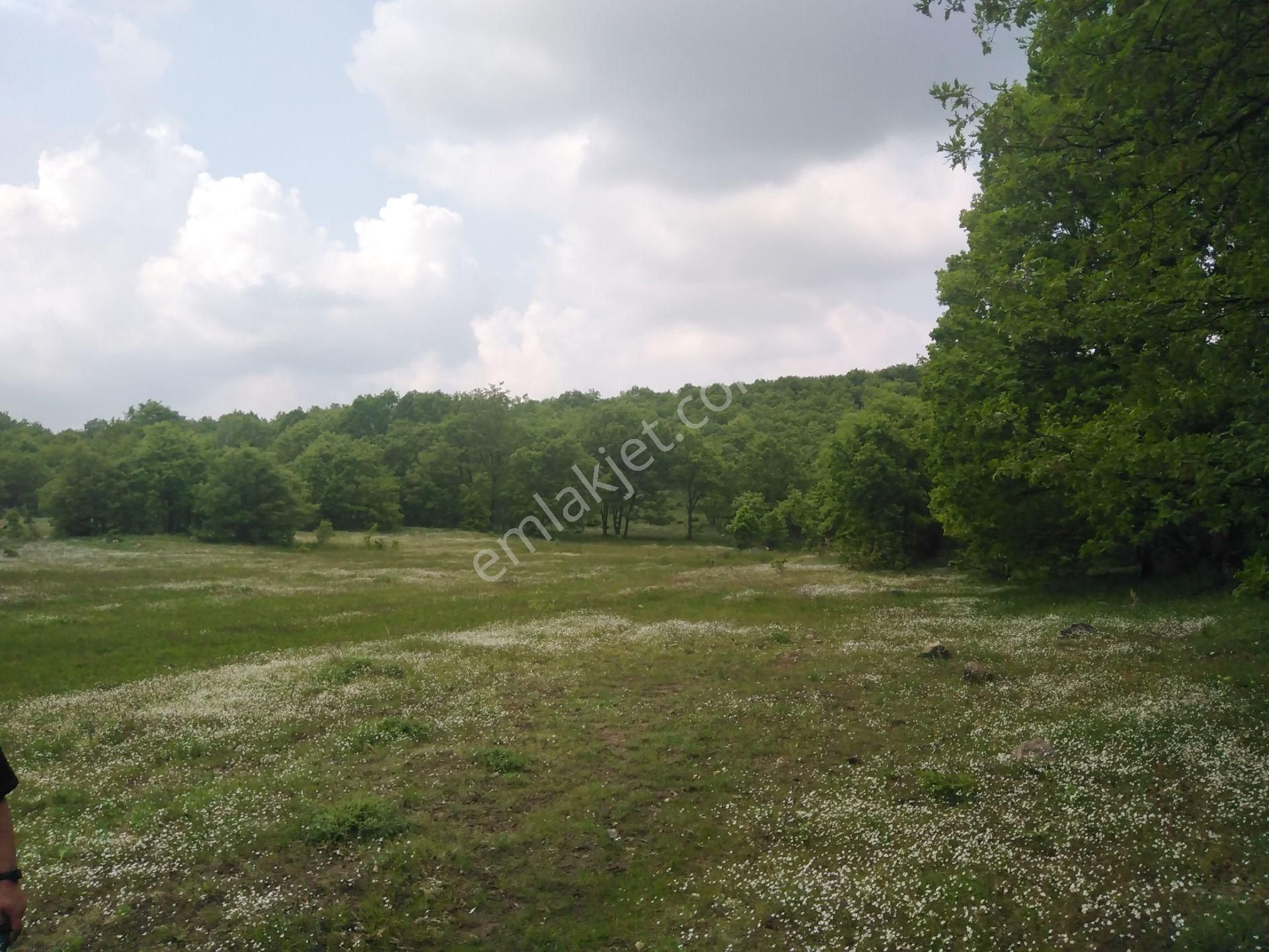 Bursa Orhaneli Gazioluk Mah. 9124 M2 Köye Yakın Yol Su Var - Görsel 6