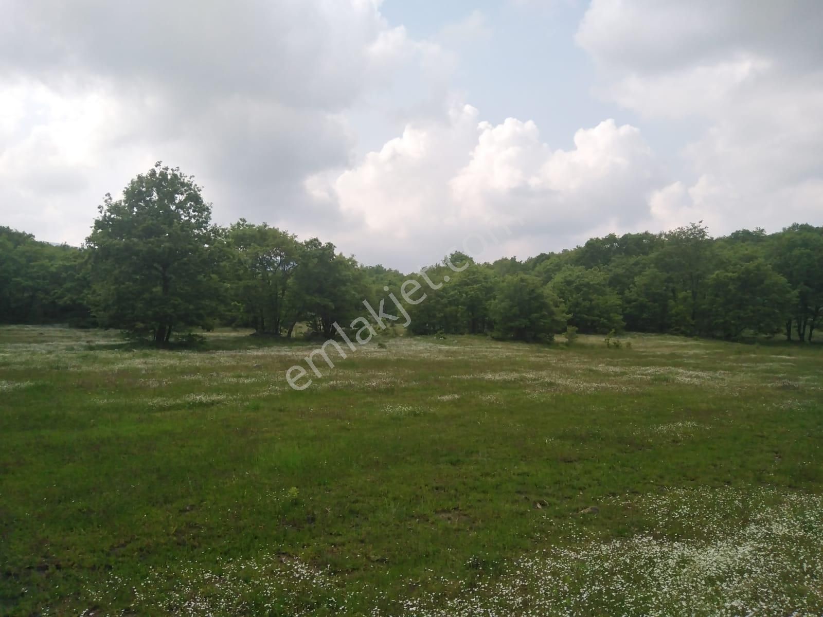 Bursa Orhaneli Gazioluk Mah. 9124 M2 Köye Yakın Yol Su Var - Görsel 20