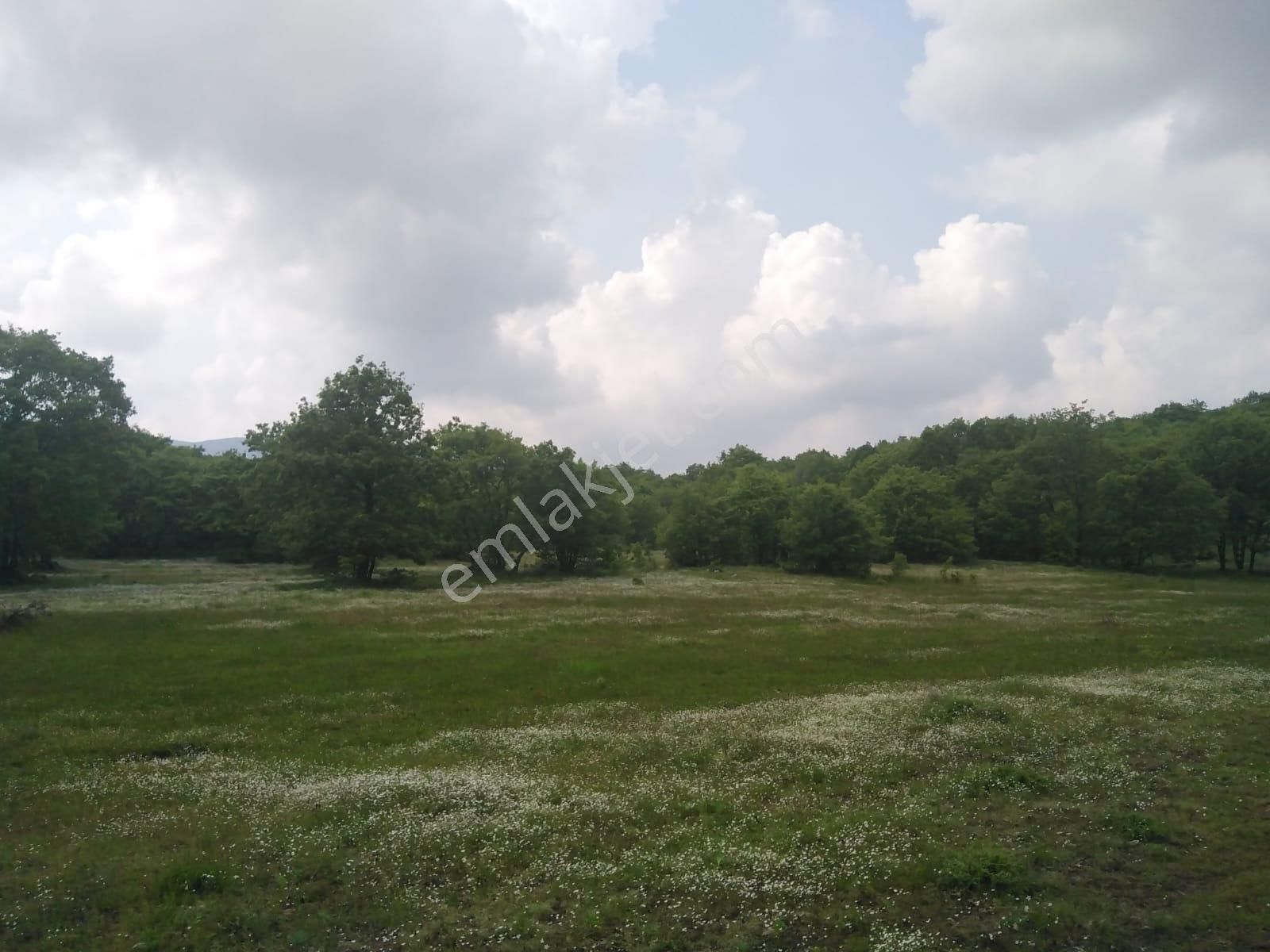 Bursa Orhaneli Gazioluk Mah. 9124 M2 Köye Yakın Yol Su Var - Görsel 26