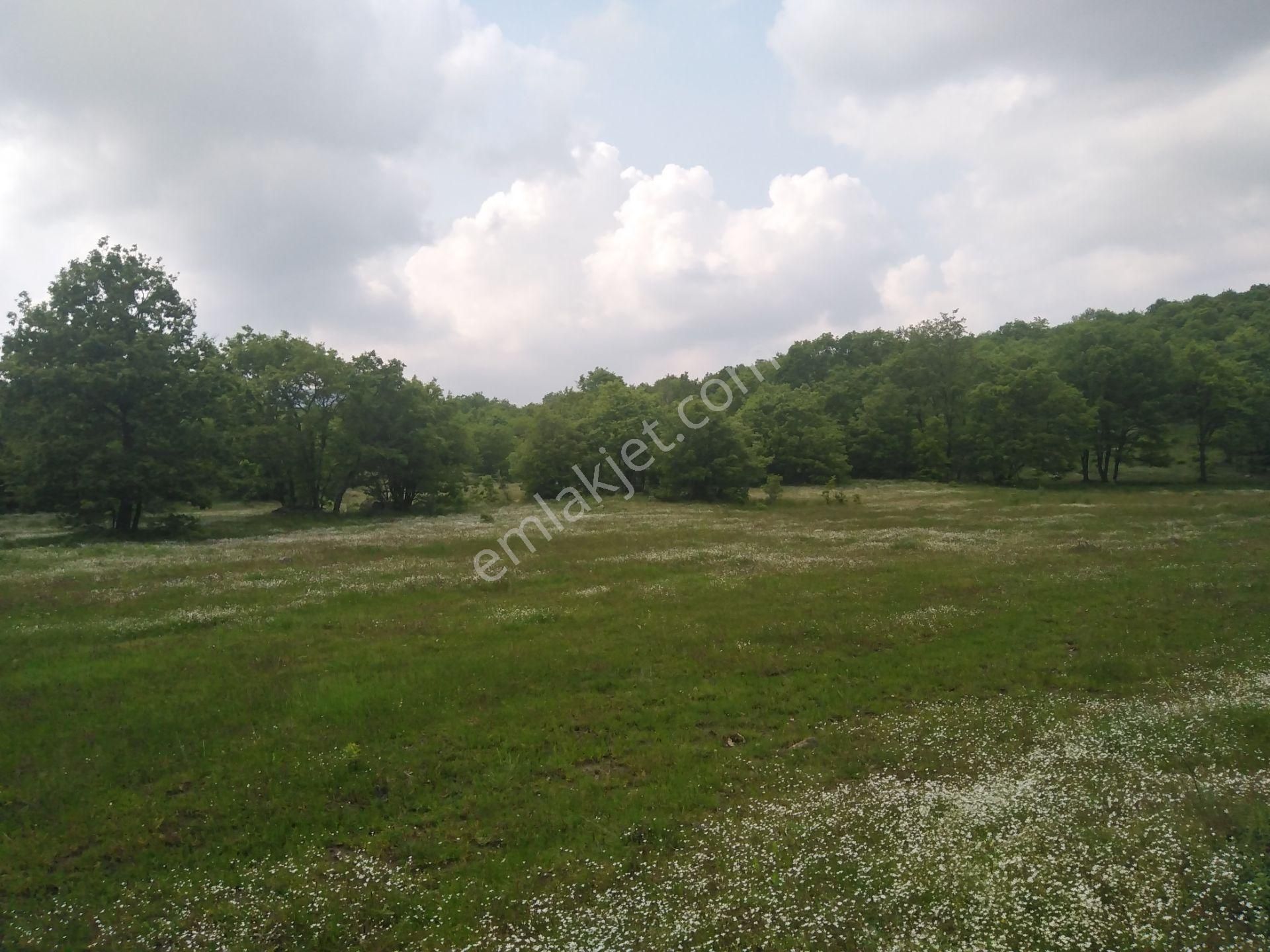 Bursa Orhaneli Gazioluk Mah. 9124 M2 Köye Yakın Yol Su Var - Görsel 3