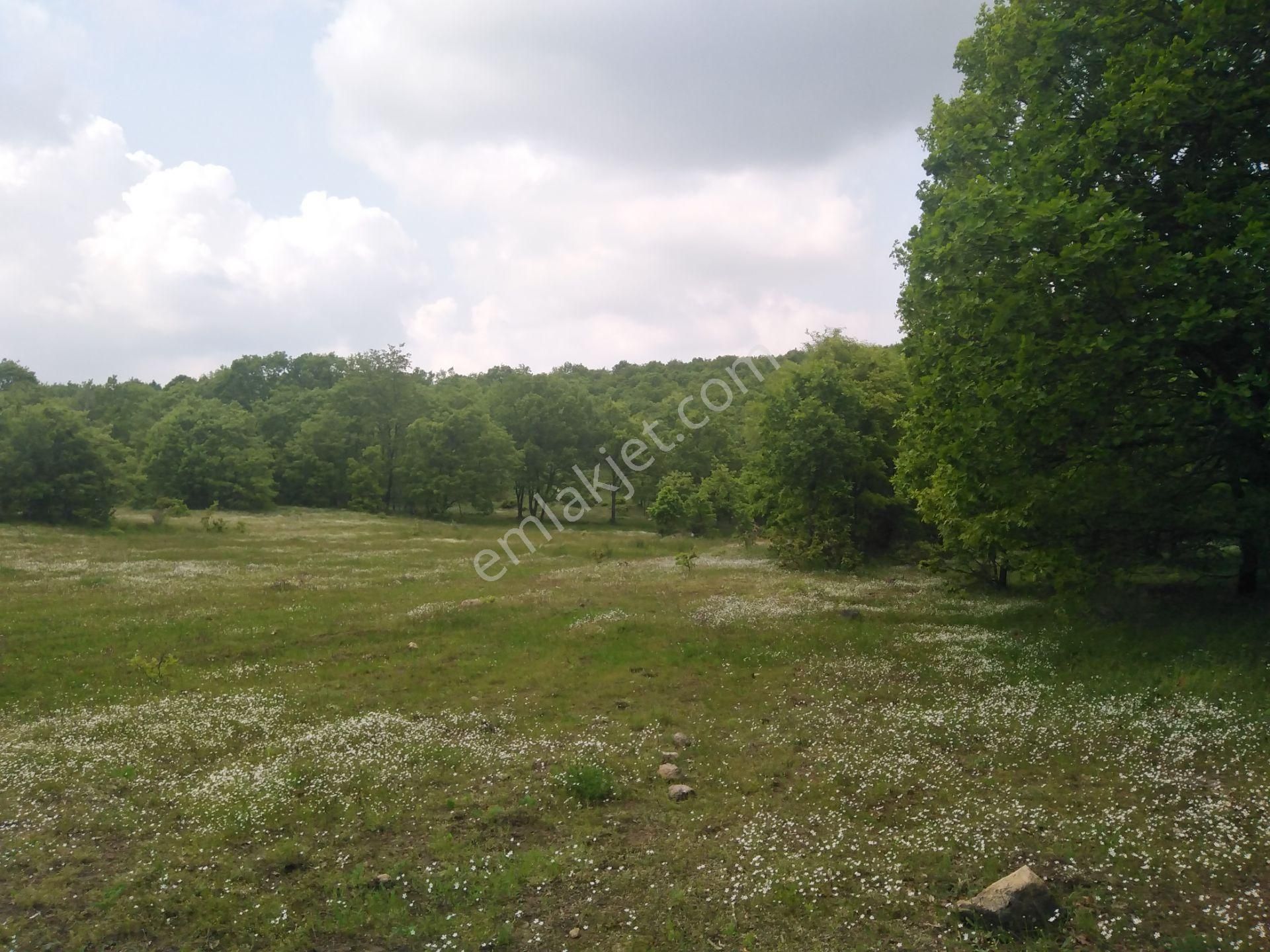 Bursa Orhaneli Gazioluk Mah. 9124 M2 Köye Yakın Yol Su Var - Görsel 2