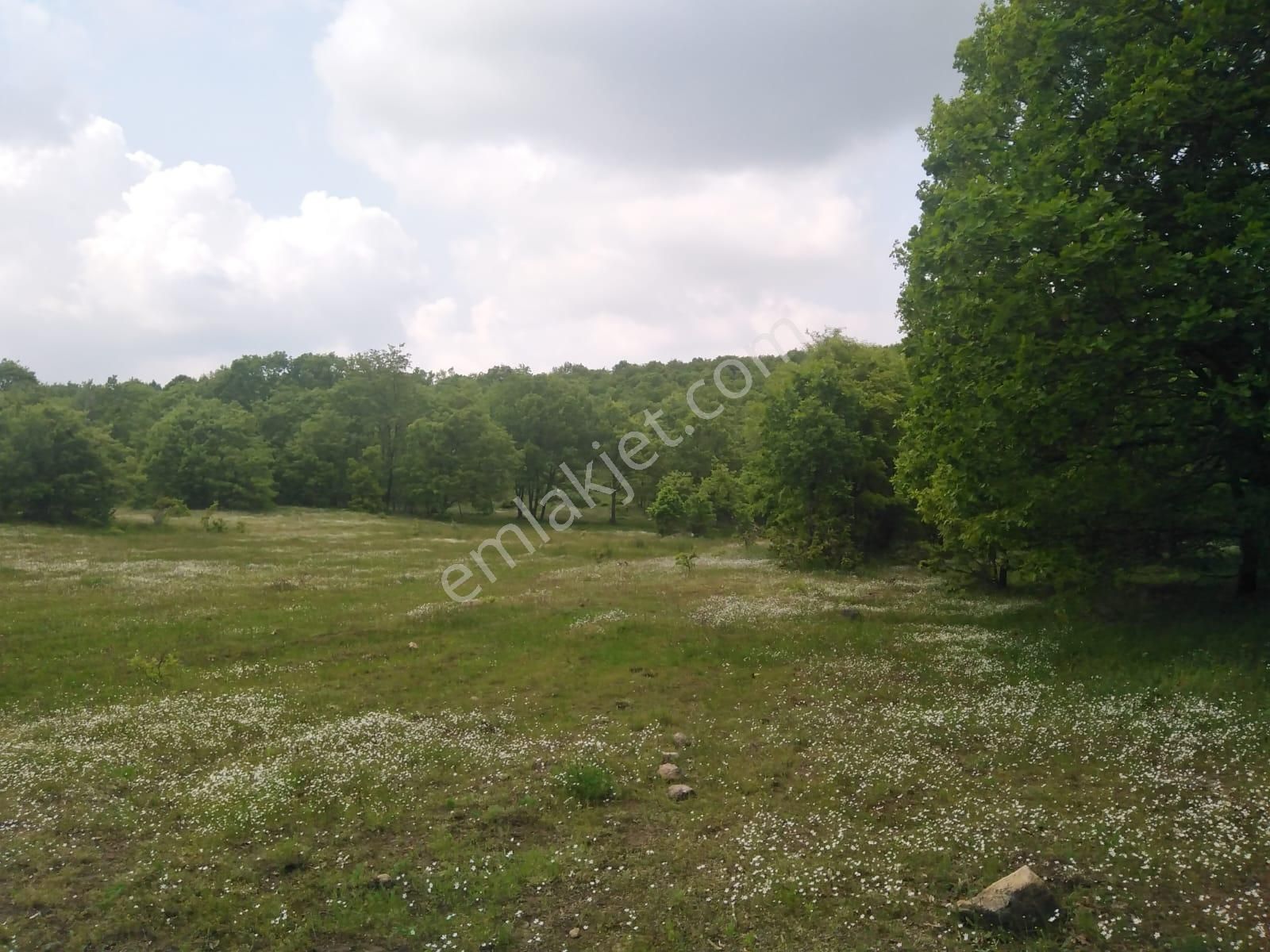 Bursa Orhaneli Gazioluk Mah. 9124 M2 Köye Yakın Yol Su Var - Görsel 24