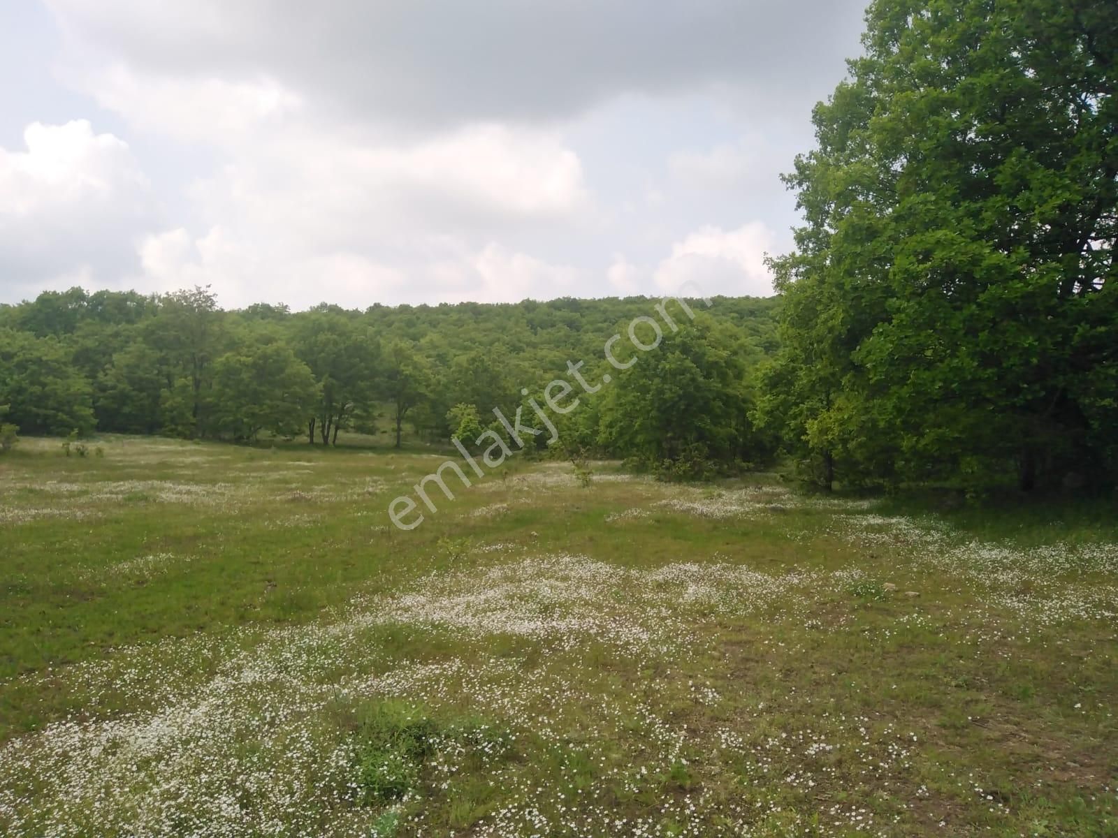 Bursa Orhaneli Gazioluk Mah. 9124 M2 Köye Yakın Yol Su Var - Görsel 19