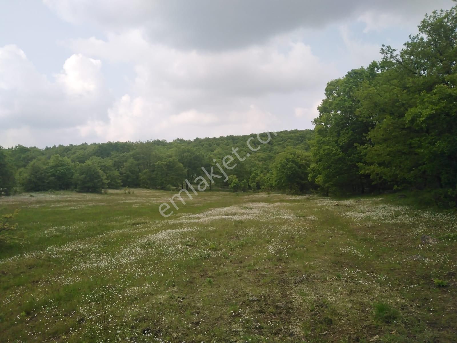 Bursa Orhaneli Gazioluk Mah. 9124 M2 Köye Yakın Yol Su Var - Görsel 16