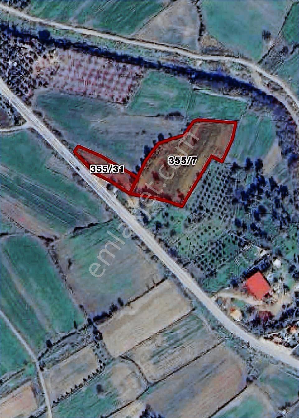 Mumcular'da Bodrum Ana Yoluna Sıfır Satılık 6061 M2 Tarla - Görsel 2