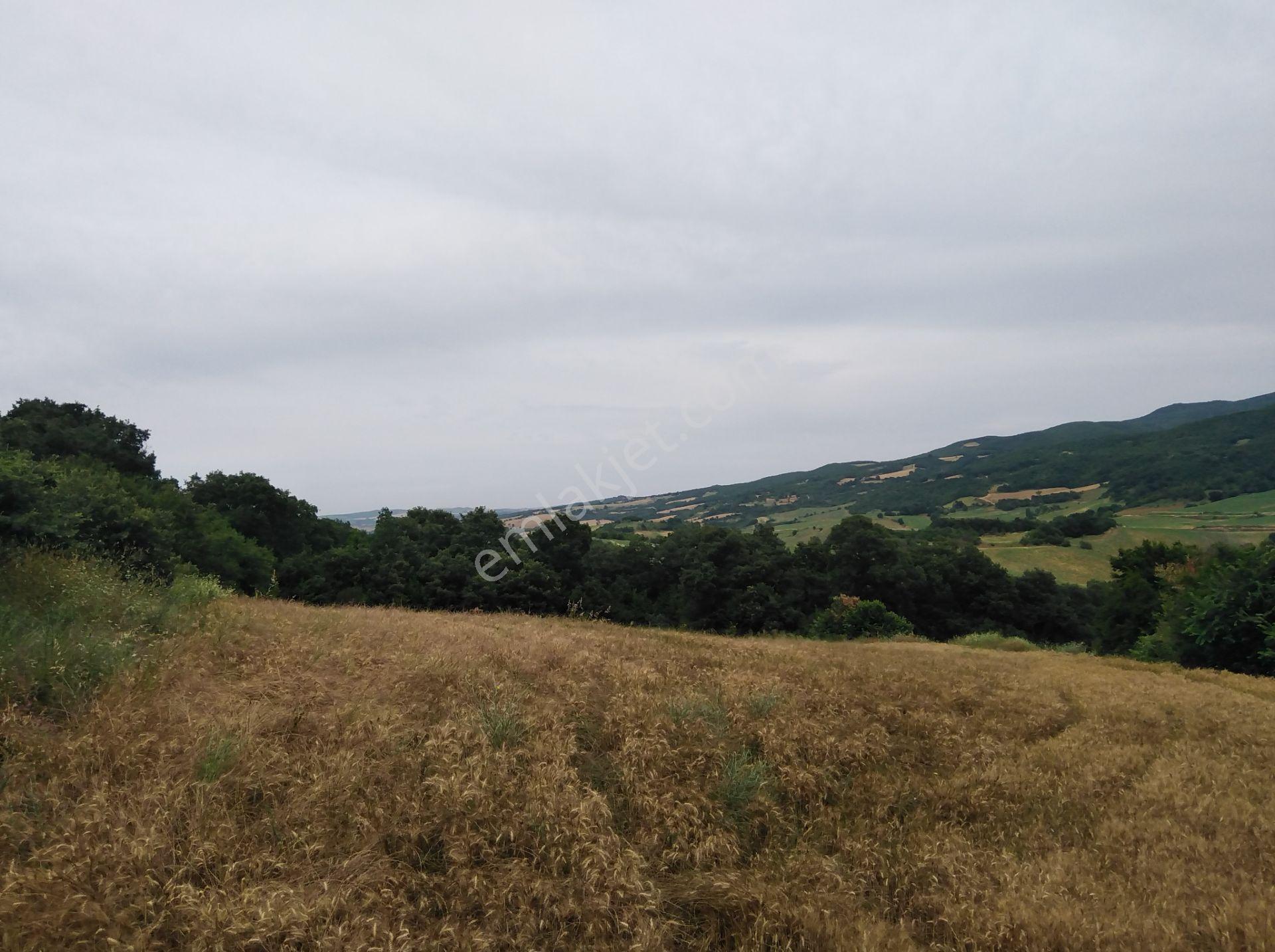 Tekirdağ Şarköy Palamut Mah. 5578 M2 Tarla Köye 700 Metre Mesafede - Görsel 18