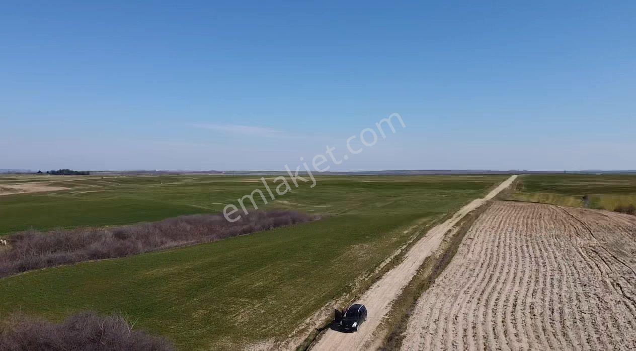 Edirne Meriç Kadıdondurma Mah. 7796 M2 Tarla 140 Metre Yol Cephe