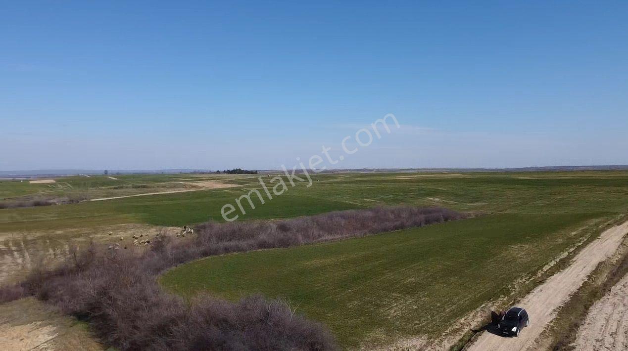 Edirne Meriç Kadıdondurma Mah. 7796 M2 Tarla 140 Metre Yol Cephe - Görsel 3