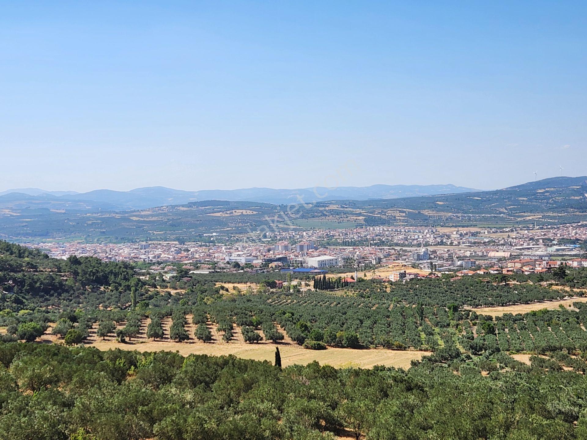 Manisa Soma Merkezde İmar Yakını 3988 M2 Tarla Soma Manzaralı - Görsel 8