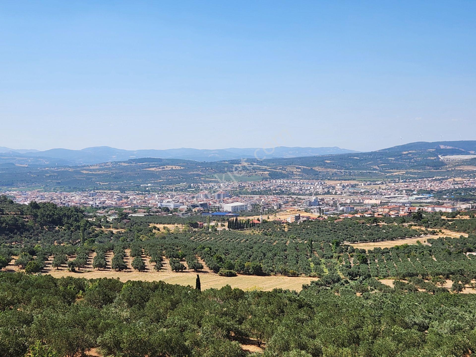 Manisa Soma Merkezde İmar Yakını 3988 M2 Tarla Soma Manzaralı - Görsel 23