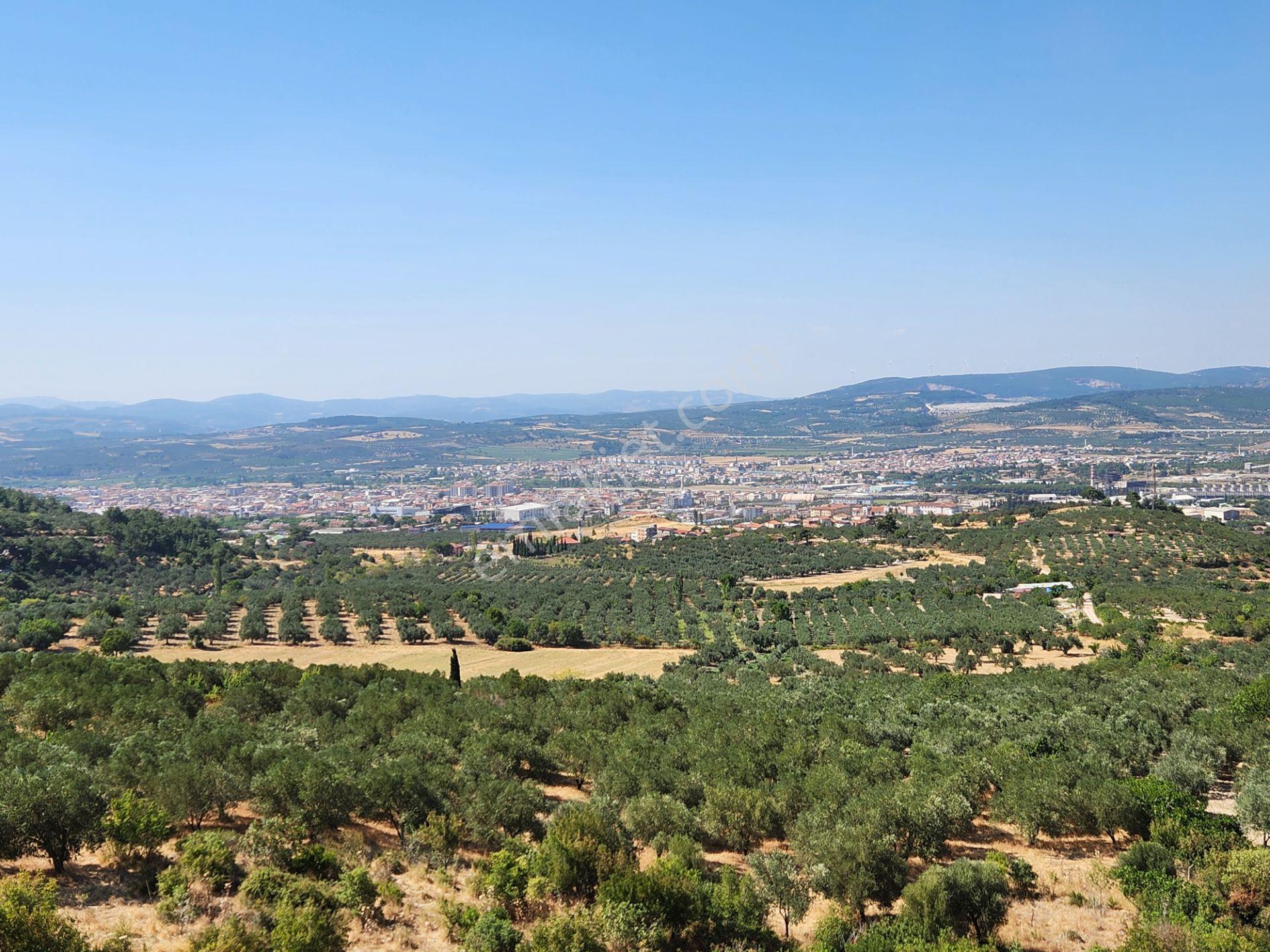 Manisa Soma Merkezde İmar Yakını 3988 M2 Tarla Soma Manzaralı - Görsel 3