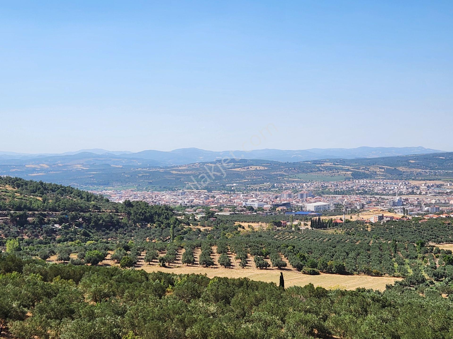 Manisa Soma Merkezde İmar Yakını 3988 M2 Tarla Soma Manzaralı - Görsel 9