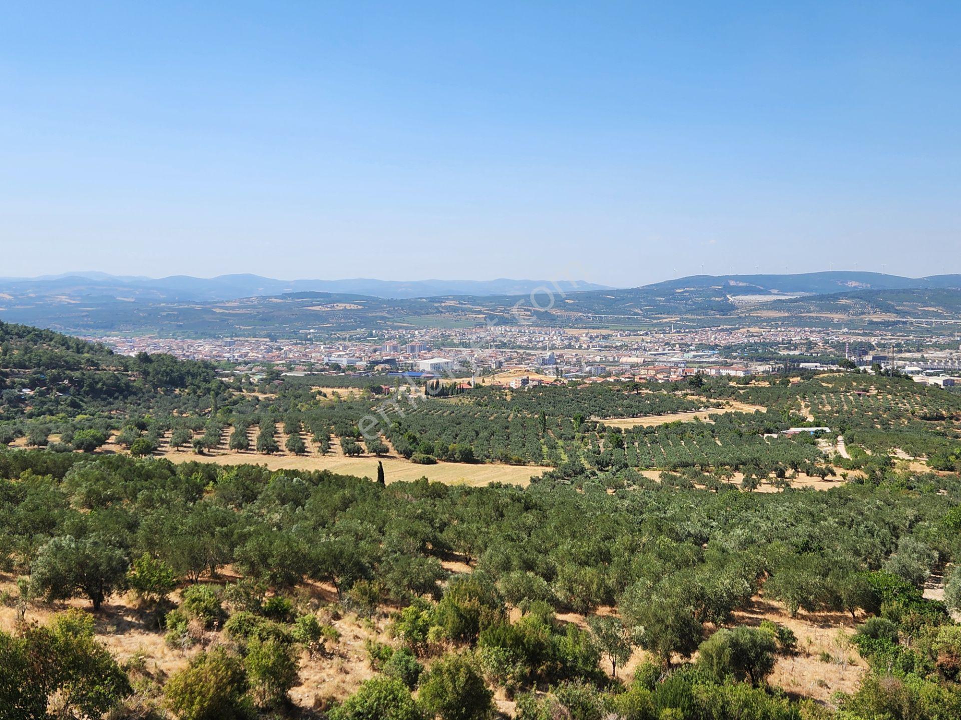 Manisa Soma Merkezde İmar Yakını 3988 M2 Tarla Soma Manzaralı - Görsel 2