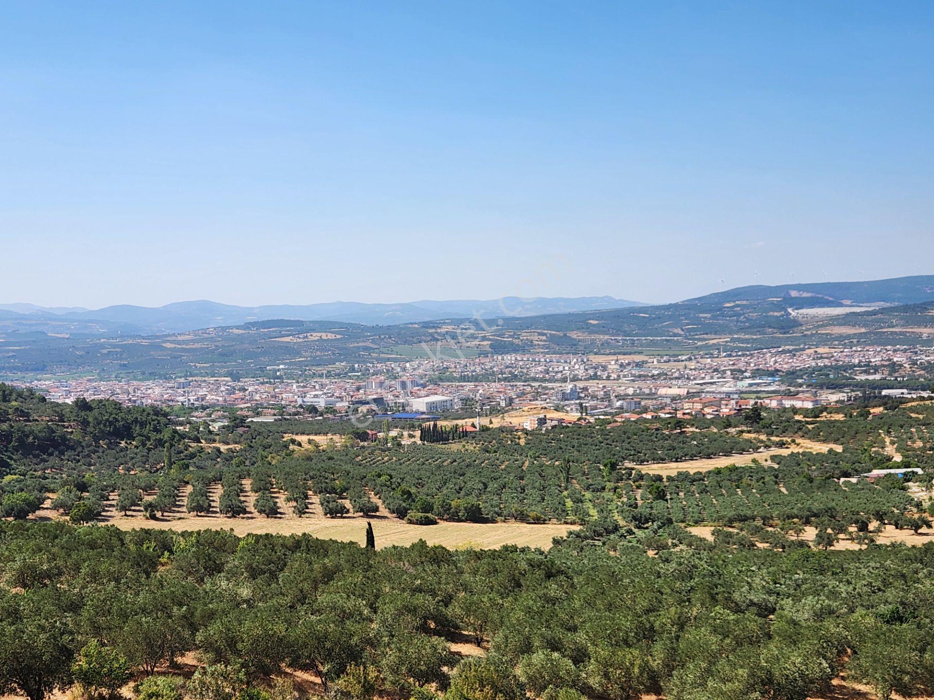 Manisa Soma Merkezde İmar Yakını 3988 M2 Tarla Soma Manzaralı - Görsel 15