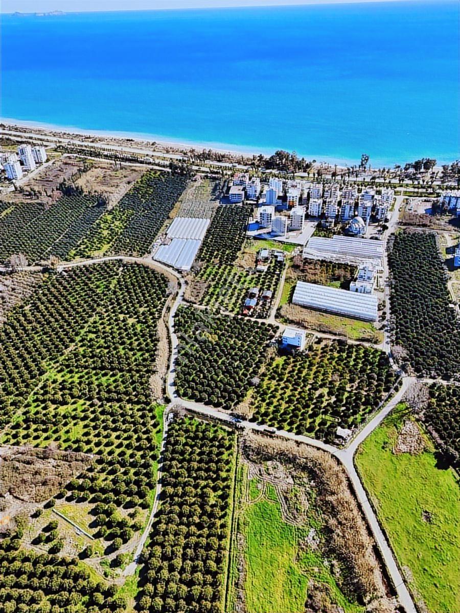 Finike Hasyurt -5 Kat İmarlı- Villa/ Ticari -arsa Satılık - Görsel 32