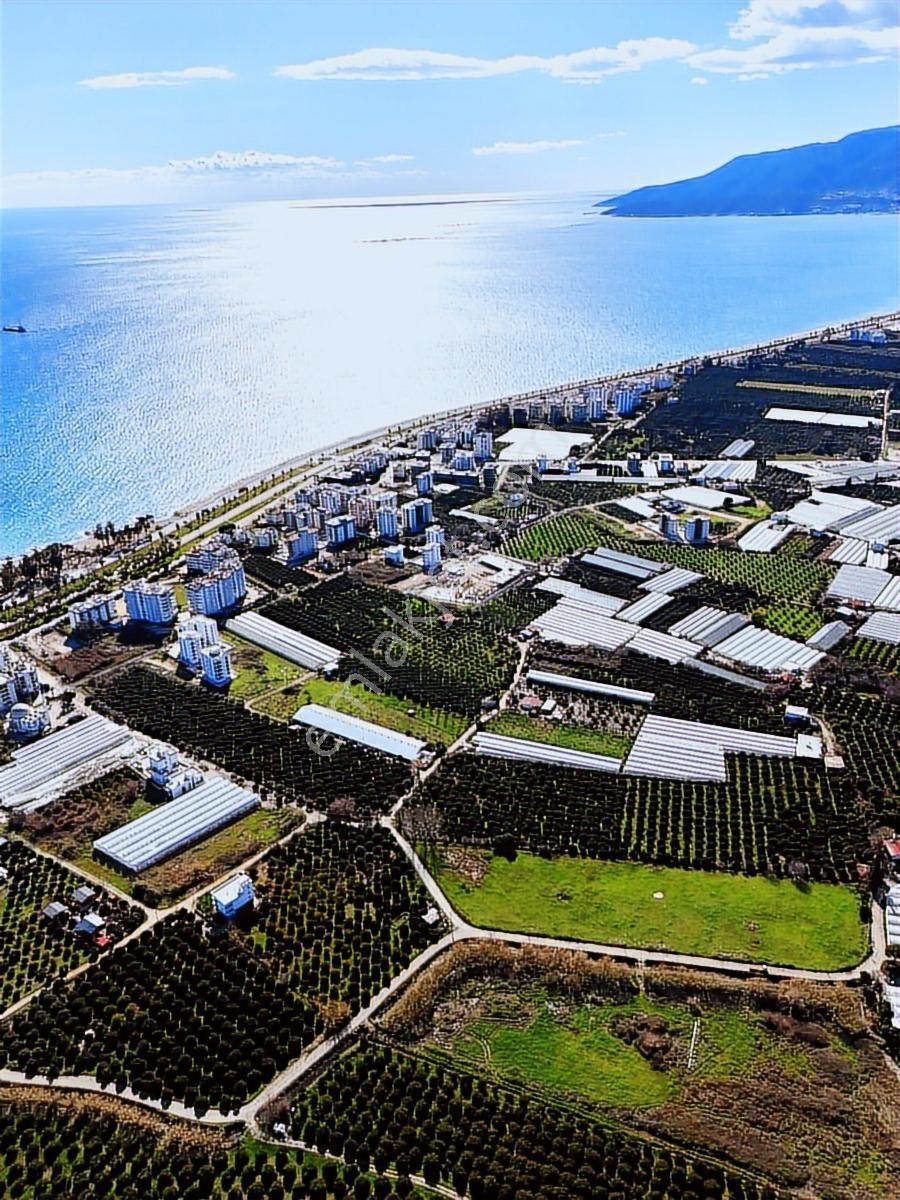 Finike Hasyurt -5 Kat İmarlı- Villa/ Ticari -arsa Satılık - Görsel 16