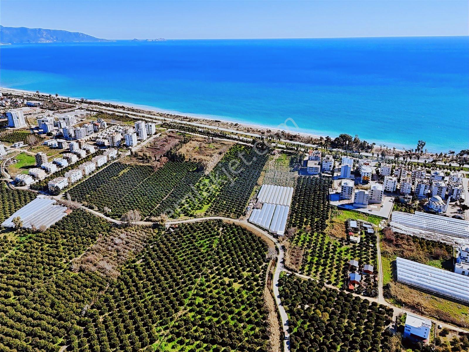 Finike Hasyurt -5 Kat İmarlı- Villa/ Ticari -arsa Satılık - Görsel 10