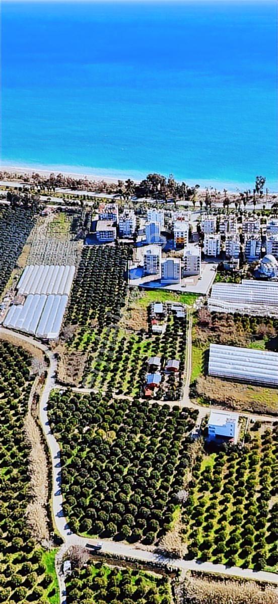 Finike Hasyurt -5 Kat İmarlı- Villa/ Ticari -arsa Satılık - Görsel 8