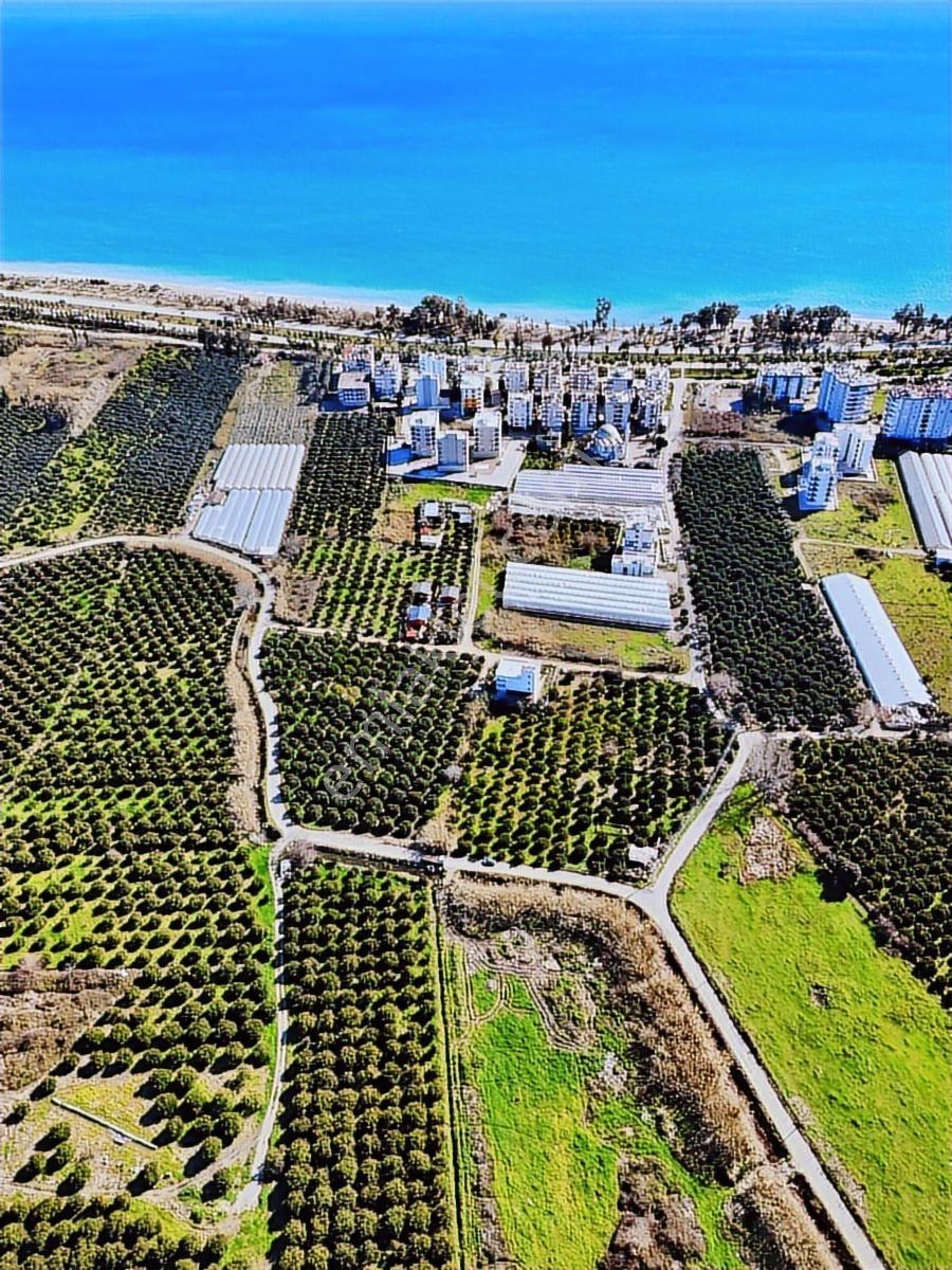 Finike Hasyurt -5 Kat İmarlı- Villa/ Ticari -arsa Satılık - Görsel 22