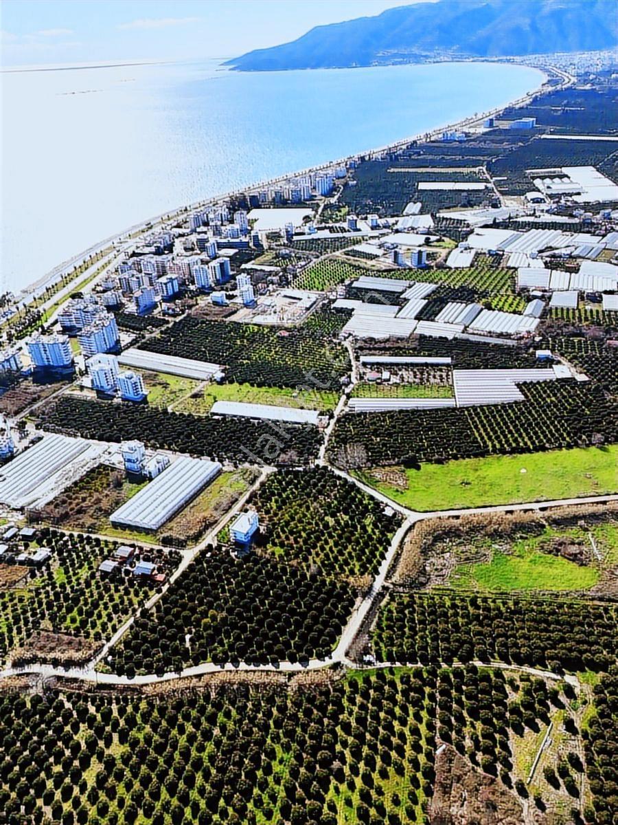 Finike Hasyurt -5 Kat İmarlı- Villa/ Ticari -arsa Satılık - Görsel 6