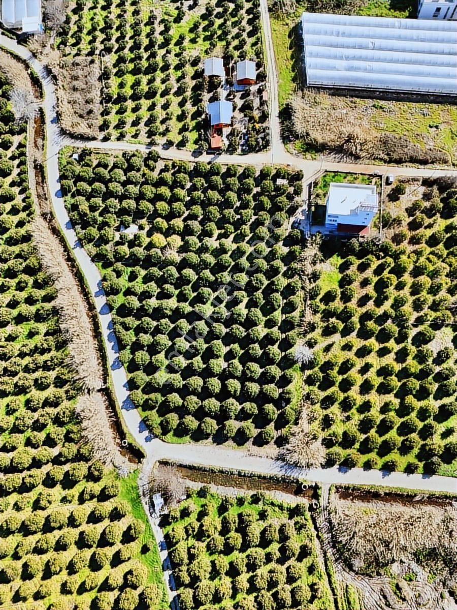 Finike Hasyurt -5 Kat İmarlı- Villa/ Ticari -arsa Satılık - Görsel 30